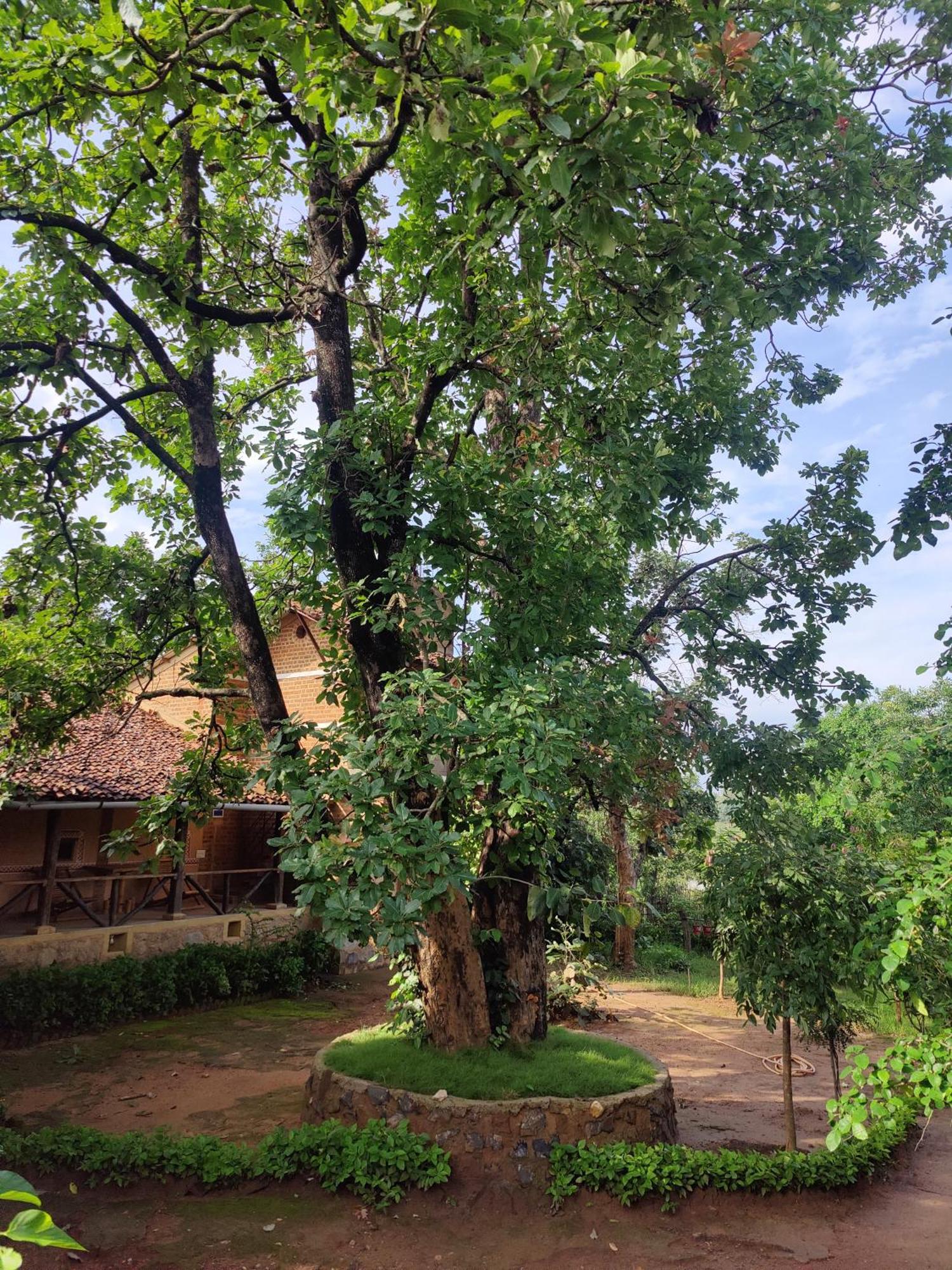 Surwahi Social Ecoestate Kanha Ngoại thất bức ảnh