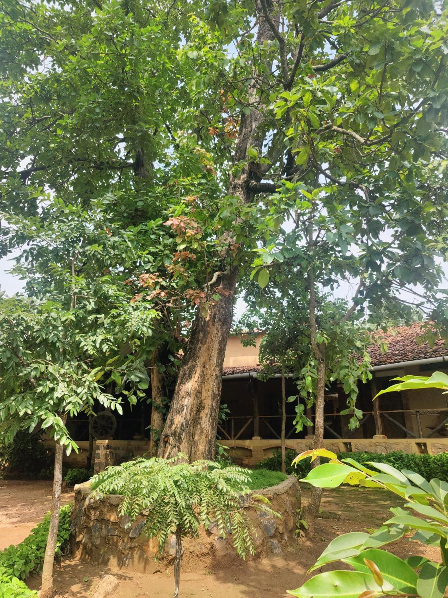 Surwahi Social Ecoestate Kanha Ngoại thất bức ảnh