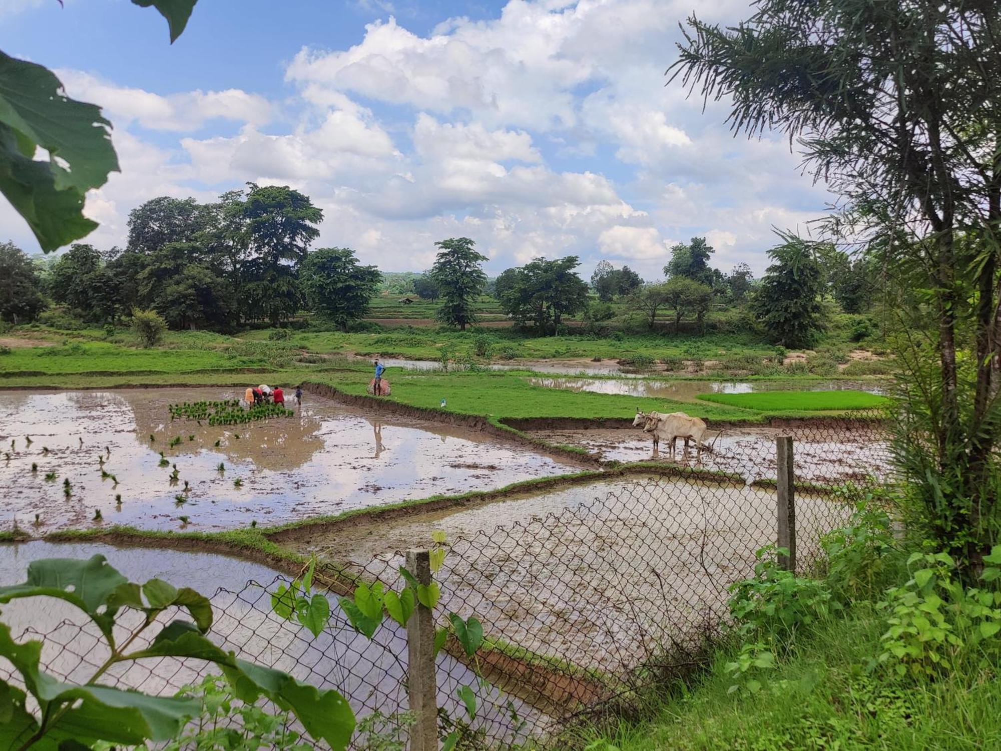 Surwahi Social Ecoestate Kanha Ngoại thất bức ảnh
